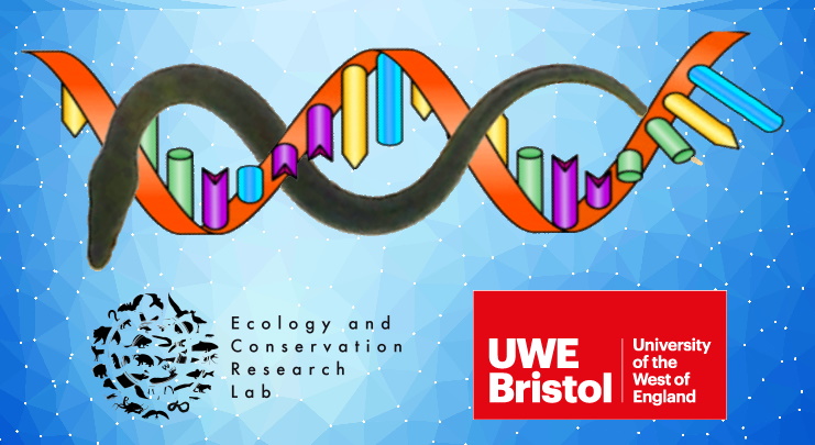 Funded PhD: Exploring the Power of eRNA to Understand Fish Populations